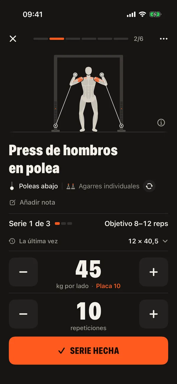 Una serie en DCFT: peso por lado, placa del pasador y repeticiones