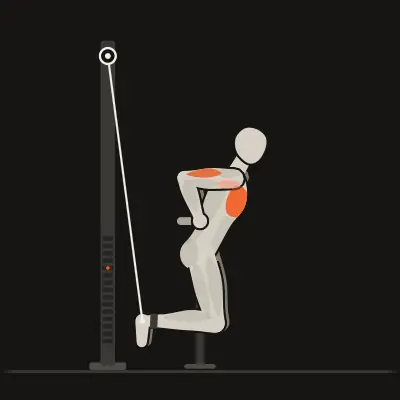 Animation : Dips avec élastique