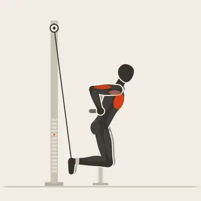 Animation : Dips avec élastique