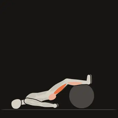 Animazione: Leg curl con fitball