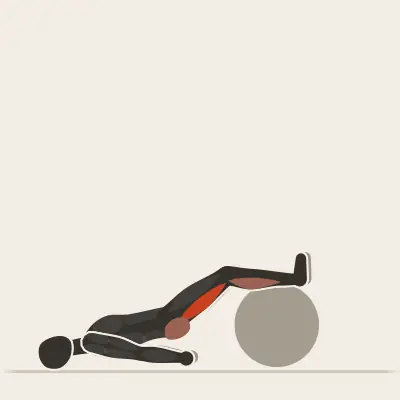 Animazione: Leg curl con fitball