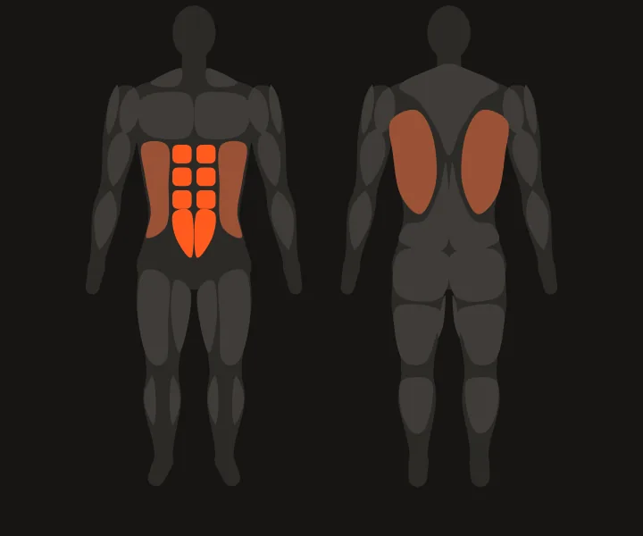 Muscle map: abs