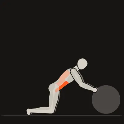 Animation: Stability Ball Rollout