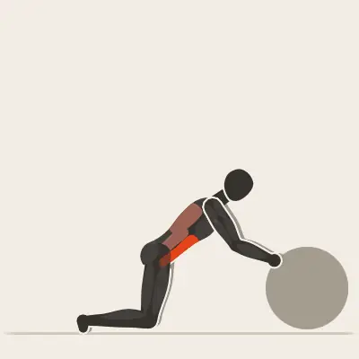 Animation: Stability Ball Rollout
