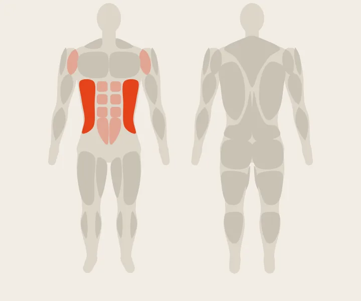 Muscle map: obliques