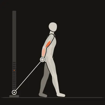 Animatie: Bayesian curl
