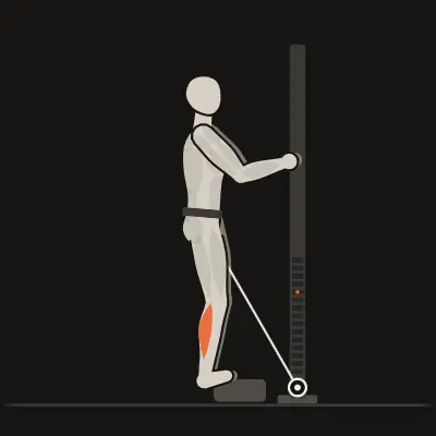 Animation: Belt Calf Raise