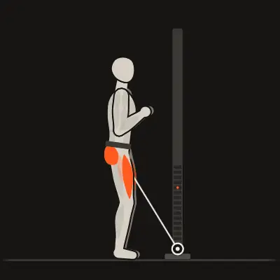 Animation : Belt squat