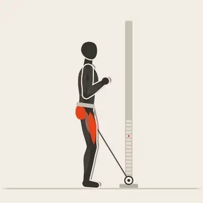 Animation : Belt squat