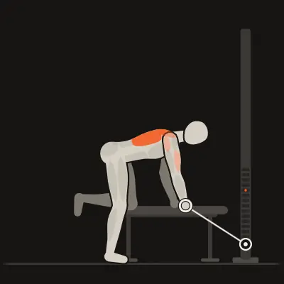Animation: Bench-Supported Single-Arm Row