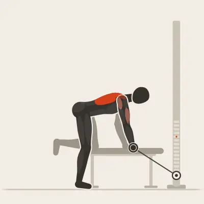 Animation: Bench-Supported Single-Arm Row