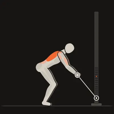 Animation: Bent-Over Cable Row