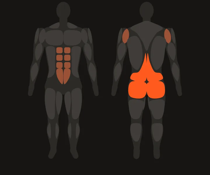 Mappa muscolare: zona lombare, glutei