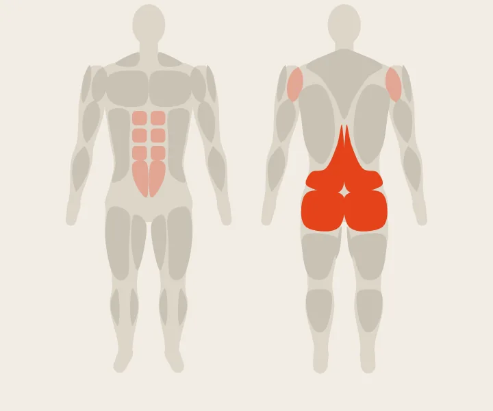Muscle map: lower back, glutes