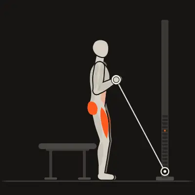 Animation: Cable Box Squat