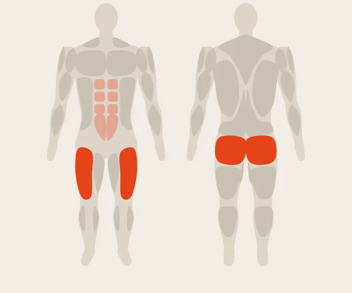 Muscle map: quads, glutes