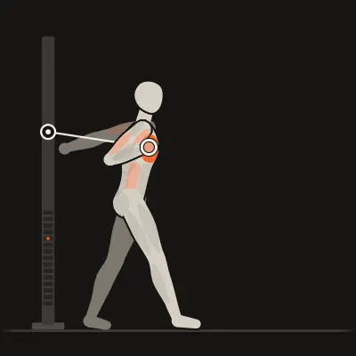 Animation: Braced Single-Arm Cable Press