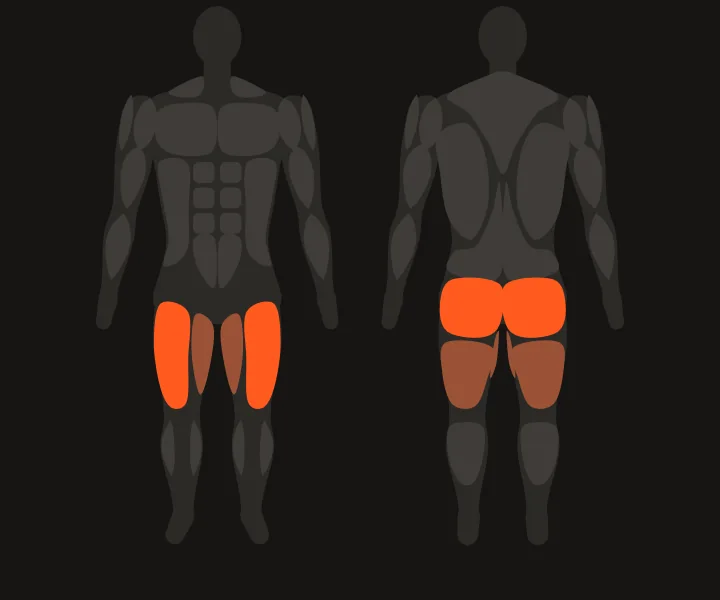 Muscle map: quads, glutes
