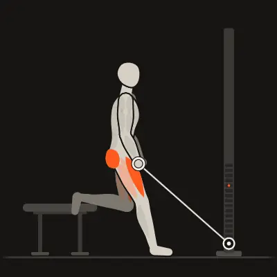 Animation: Bulgarian Split Squat