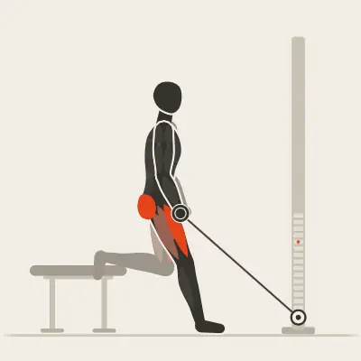 Animation: Bulgarian Split Squat