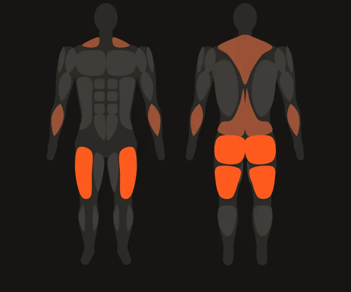 Muscle map: glutes, hamstrings, quads