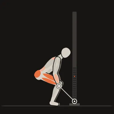 Animation: Cable Deadlift