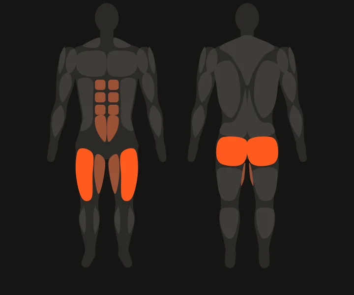 Muscle map: quads, glutes