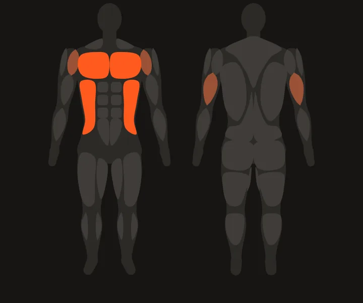 Muscle map: chest, obliques