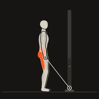 Animação: Stiff em um cabo