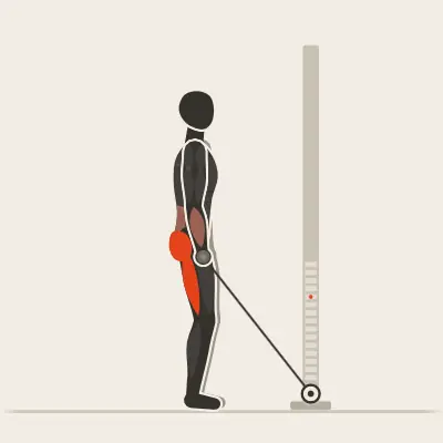 Animação: Stiff em um cabo