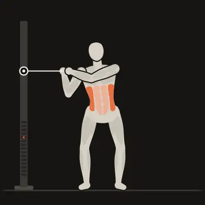 Animation: Cable Torso Rotation