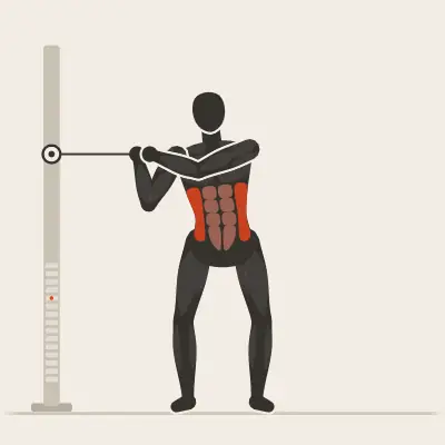 Animation: Cable Torso Rotation