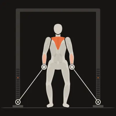 Animazione: Scrollate ai cavi