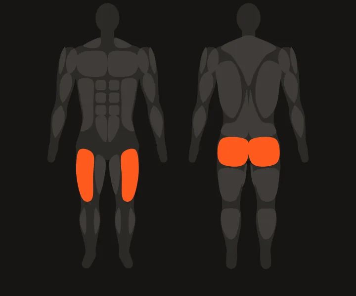 Muscle map: quads, glutes