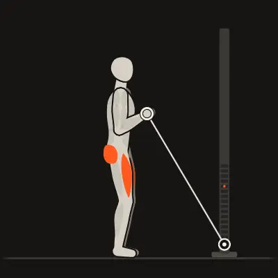 Animation: Cable Squat