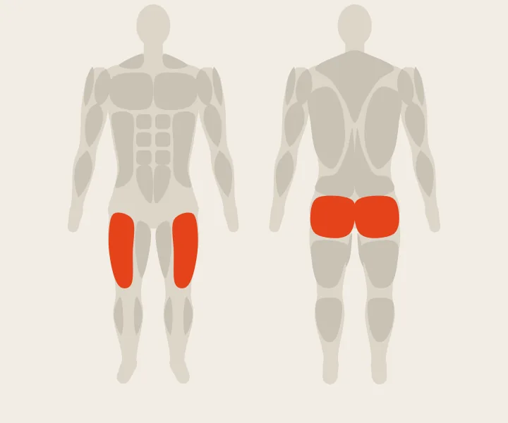 Mapa muscular: cuádriceps, glúteos