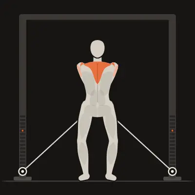Animation: Cable Y-Raise