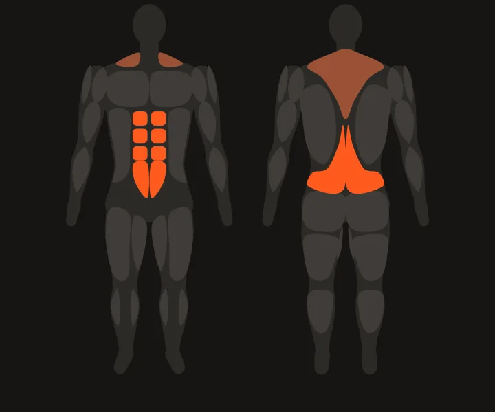 Muscle map: lower back, abs