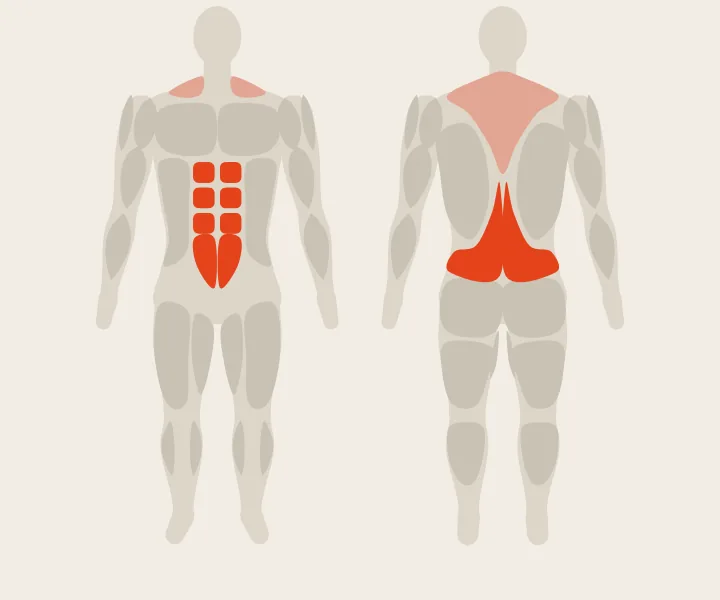 Muscle map: lower back, abs