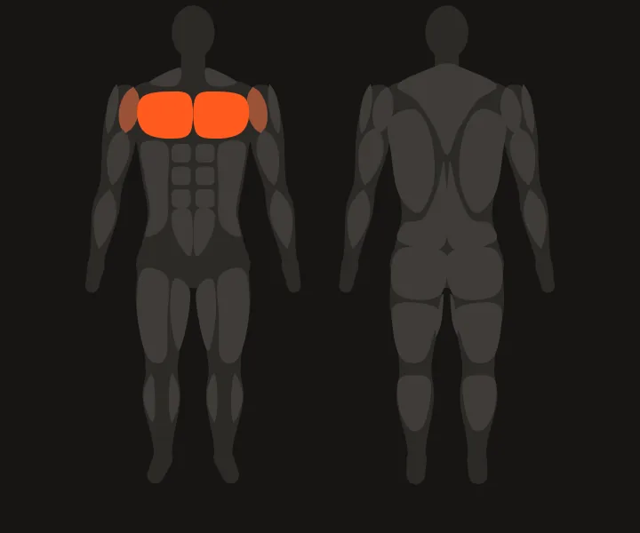 Muscle map: chest