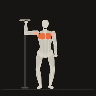 Animation: Chest Stretch on the Frame