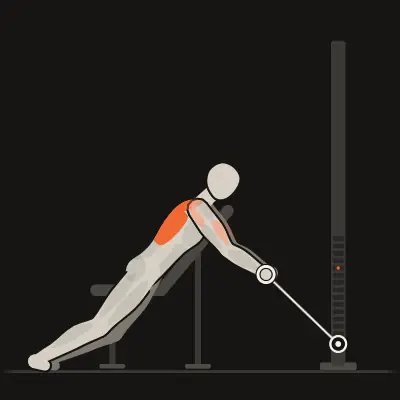 Animation: Chest-Supported Cable Row