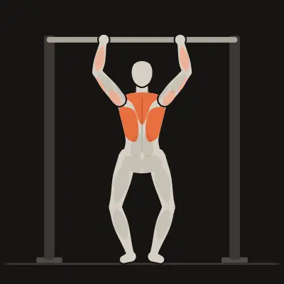 Animation: Chest-to-Bar Pull-Up