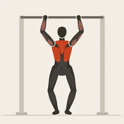 Animation: Chest-to-Bar Pull-Up