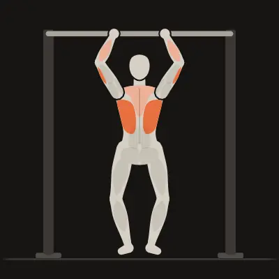 Animation : Traction supination