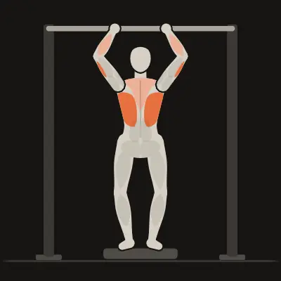 Animation : Traction supination négative