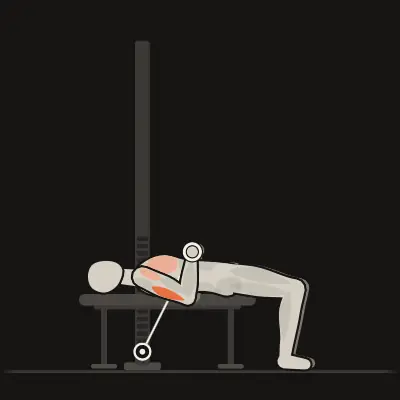 Animation: Close-Grip Cable Bench Press