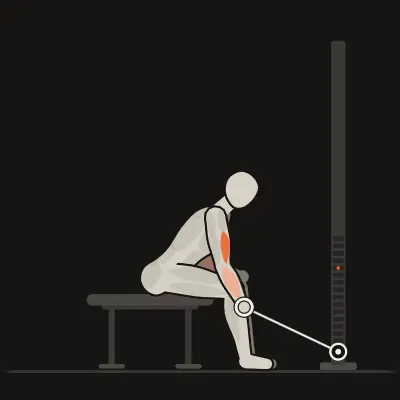 Animation : Curl concentré assis