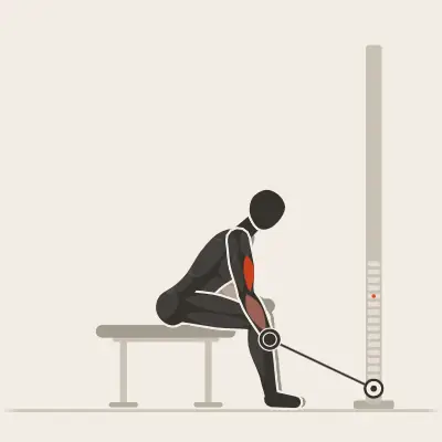 Animation : Curl concentré assis