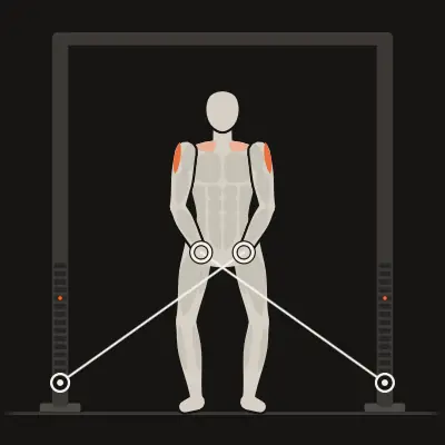 Animation: Crossover Cable Lateral Raise